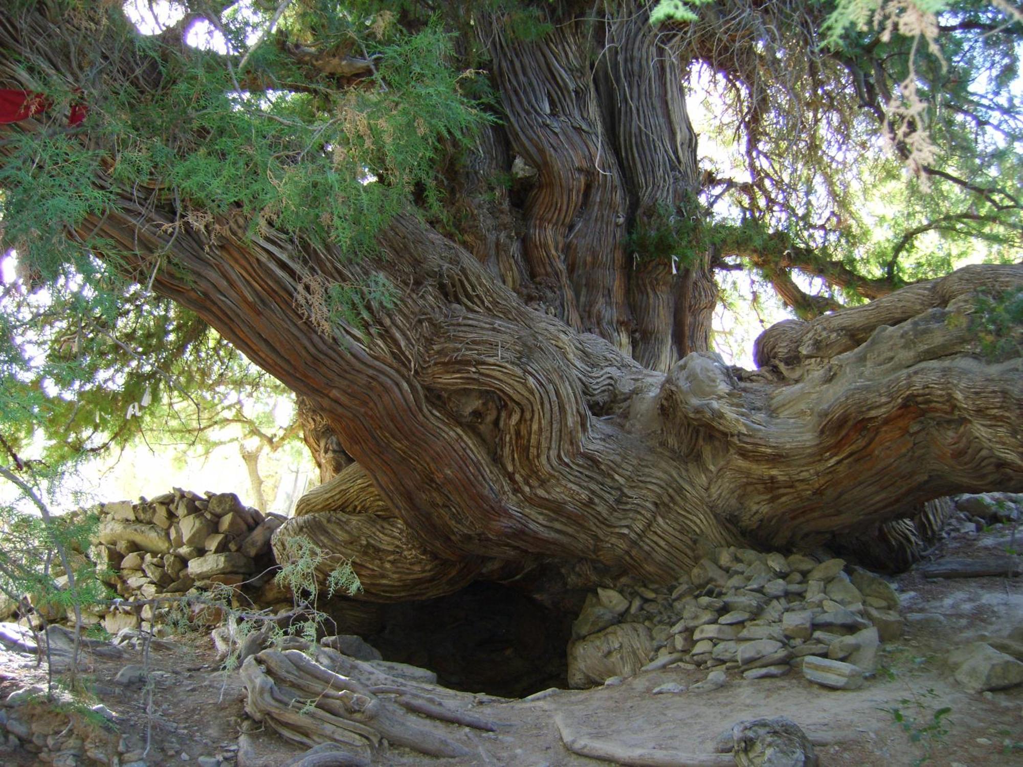 Yukary-Ukhum Hayat Guesthouse Nuratau Mountain מראה חיצוני תמונה