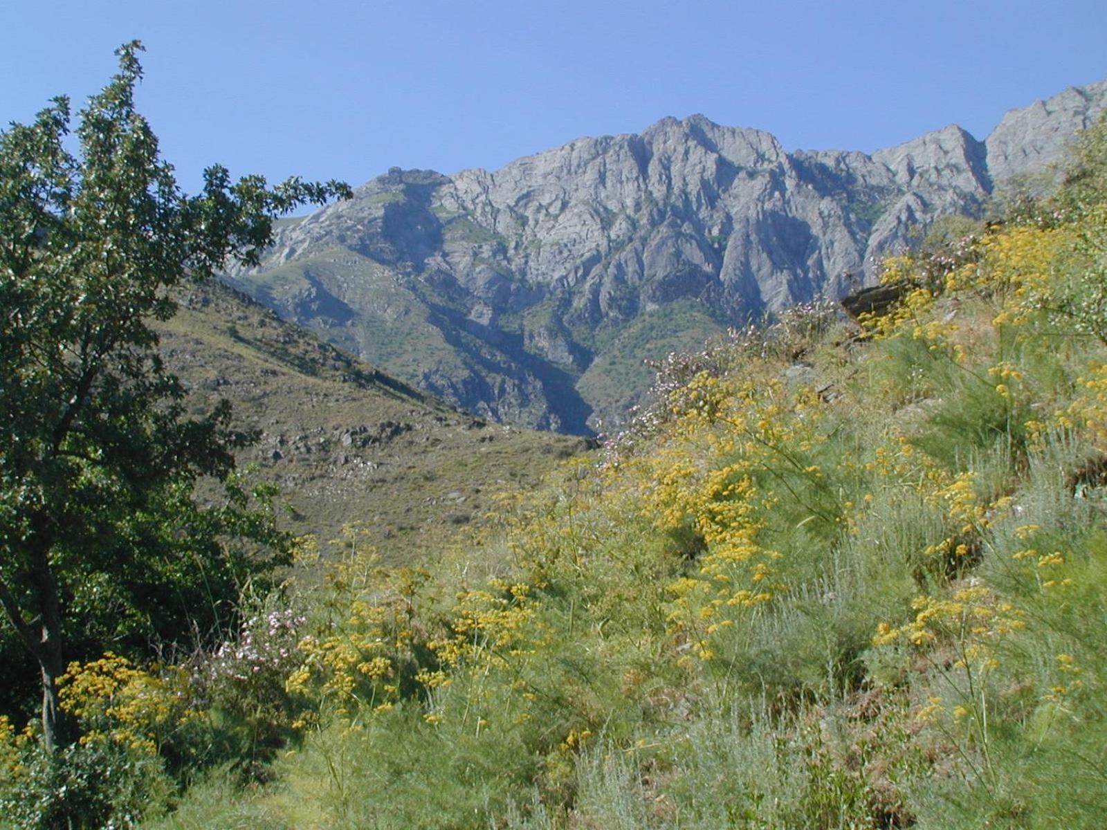 Yukary-Ukhum Hayat Guesthouse Nuratau Mountain מראה חיצוני תמונה