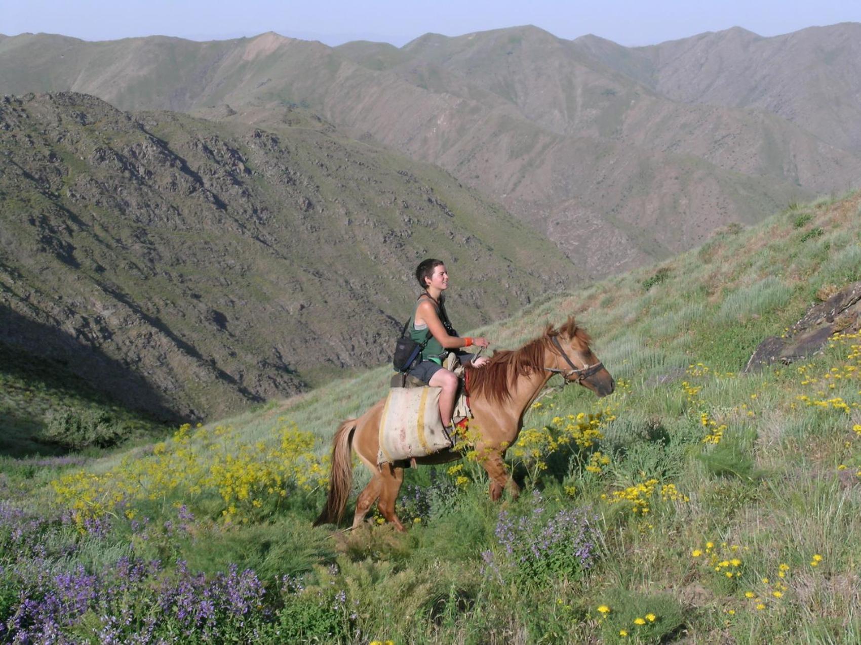 Yukary-Ukhum Hayat Guesthouse Nuratau Mountain מראה חיצוני תמונה