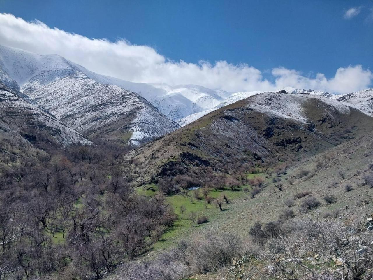 Yukary-Ukhum Hayat Guesthouse Nuratau Mountain מראה חיצוני תמונה
